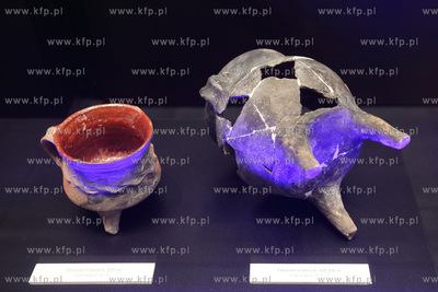 Uroczyste otwarcie Piwnicy Romanskiej z XIIIw., ktora...