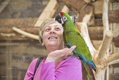 Nowa Papugarnia w Gdańsku Suchaninie.
29.12.2016
fot....