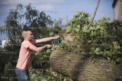 Skutki nawałnicy, która z piątku na sobotę przeszła...