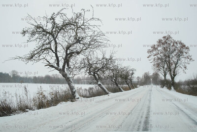 Zima na Żuławach.  Zaśniezone drogi. 16.01.2021...