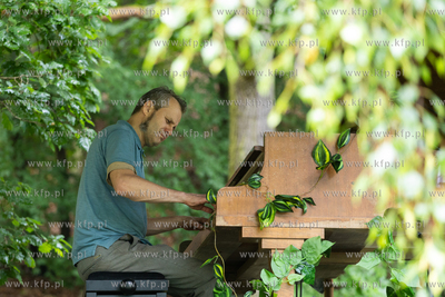 Sopot. Łysa Góra. Festiwal „Piano w naturze Sopot”....