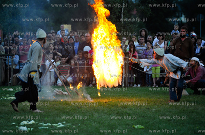 Pruszcz Gdanski. Miedzynarodowy Baltycki Park Kulturowy...