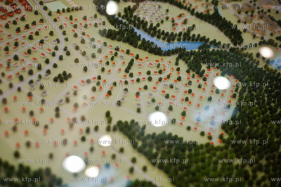 Gdansk. Amber Expo. Targi mieszkan i domow.
02.03.2013
fot....