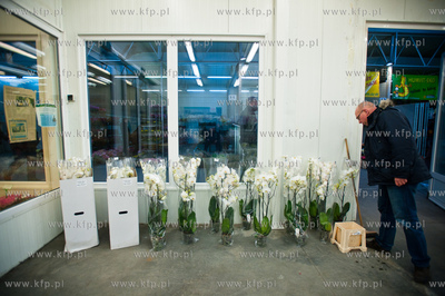 Gdansk. Giełda kwiatowa Dick Inter.
08.03.2013
fot....