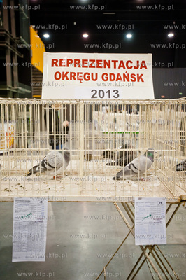 Gdansk. Gdansk. Amber Expo. 8. Miedzynarodowe Targi...