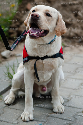 Gdansk Oliwa. Jednostka Strazy Pozarnej przy ul. Beniowskiego....
