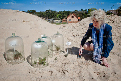Gdansk. Wyspa Sobieszewoska. Teren Stacji Badawczej...