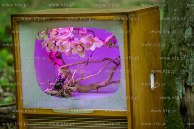 Gdansk. Dolina Radosci. Weekendowa akcja miejska Streetwaves.
31.05.2015
fot....