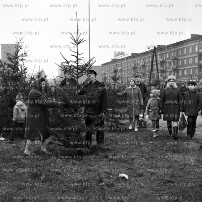Sprzedaz choinek na Rajskiej w Gdansku. 
12.1970
0002995z_grudzien1970
Fot....