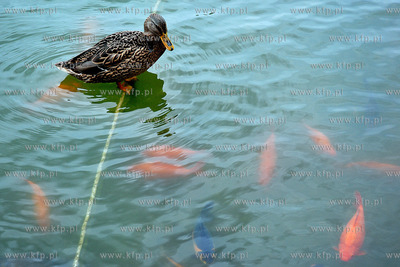 Praga (Czechy). W Ogrodach Senatu Republiki Czeskiej...