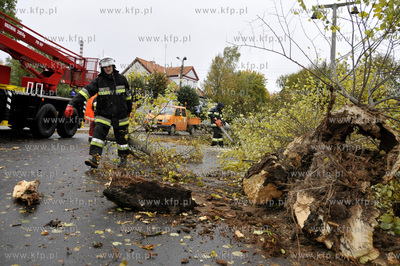 Polamane drzewa, przygniecione auta, zniszczone dachy...
