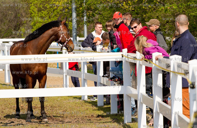 Szkola jazdy konnej Galoopka zorganizowala w Wielka...