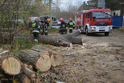 Strazacy usuwaja przewrucone przez wichure drzewo w...