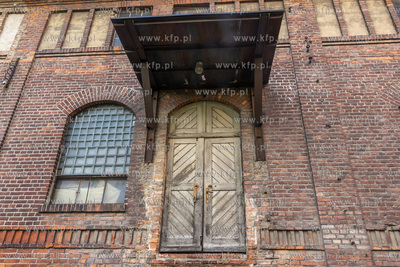 Botaniczny Pruszcz. Spacer badawczy śladem roślin...