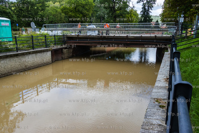 Remont mostu nad Kanałem Raduni w ciągu ul. Nowiny...