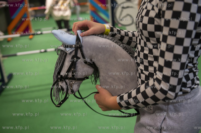 Ergo Arena. Halowy Puchar Polski w Powożeniu Zaprzęgami...