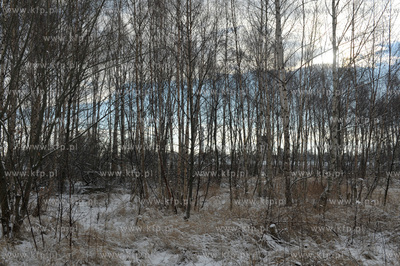 Gdansk Nowy Port. Tereny Szanca Zachodniego pomiedzy...