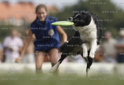 Sopot. Hipodrom. Zawody Frisbee - latajace psy za latajacym...
