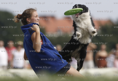 Sopot. Hipodrom. Zawody Frisbee - latajace psy za latajacym...