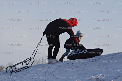 Sanki w Parku Ronalda Reagana w Gdansku.
19.01.2014
fot....