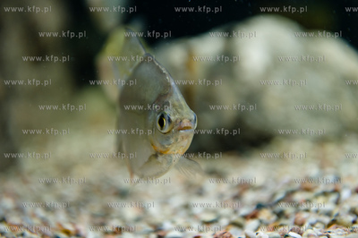 Sopot. Budynek dawnego klubu nocnego Enzym. Nowo otwarte...