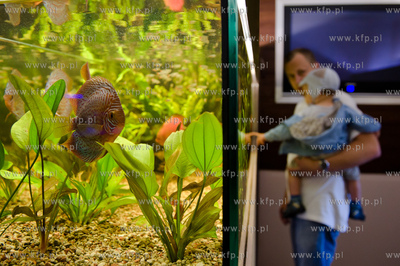 Sopot. Budynek dawnego klubu nocnego Enzym. Nowo otwarte...