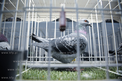 Gdansk. Miedzynarodowe Targi Gdanskie SA. 
6. Miedzynarodowe...