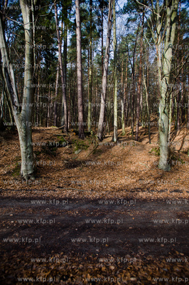 Gdansk. Oliwa, Trojmiejski Park Krajobrazowy. Sciezka...