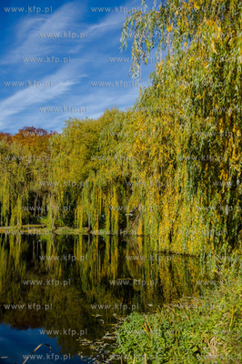 Gdansk. Jesienne, sloneczne przedpoludnie w Parku Orunskim.
27.10.2015
fot....