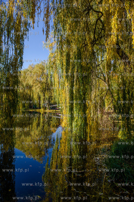 Gdansk. Jesienne, sloneczne przedpoludnie w Parku Orunskim.
27.10.2015
fot....
