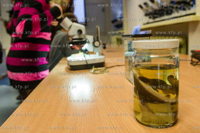 Akwarium Gdynskie. Tydzien Rekina oraz Dni Otwarte...