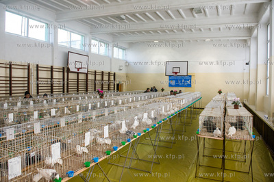 Zespol Szkol Rolniczych w Rusocinie. Wystawa Golebi...