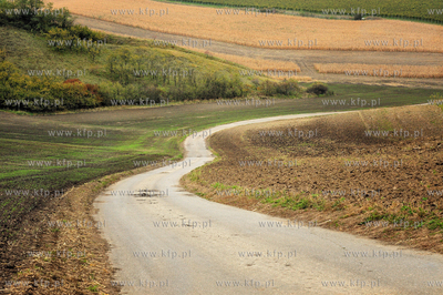 Morawy. Czechy. Okolice miejscowosci Kijev. Nz. pola...