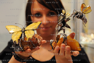 Gdansk, Miedzynarodowe Targi Gdanskie. Targi AMBERIF....