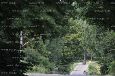Droga przez wies Sulmin na Kaszubach. 24.07.2009 Fot....