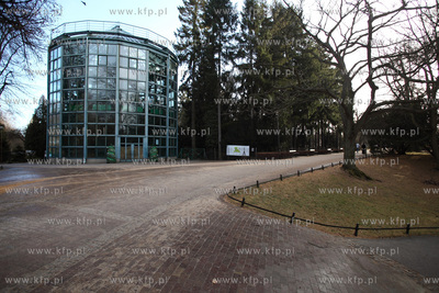Palmiarnia w Parku Oliwskim. 04.01.2013 fot. Krzysztof...