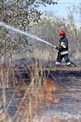 Pozar laki na wysokosci ul. Szklana Huta w Gdanskiej...