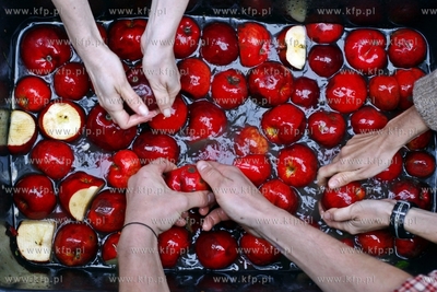 Żuławski Park Historyczny w Nowym Dworze Gdanskim....