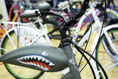 Hala AWFiS w Gdansku. Festiwal rowerowy. Nz stoisko...