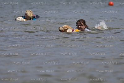 Gdańsk Brzeźno. Puchar Polski Psów Ratowniczych.
14.06.2015
fot....