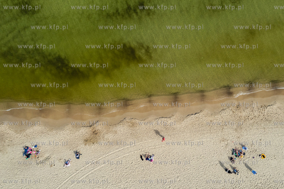 Wyspa Sobieszewska.
01.04.2024
fot. Krzysztof Mystkowski...