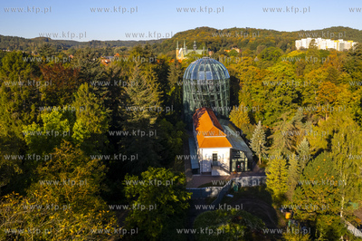 Palmiarnia w Parku Oliwskim. 01.10.2024 fot. Paweł...