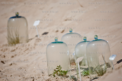 Gdansk. Wyspa Sobieszewoska. Teren Stacji Badawczej...