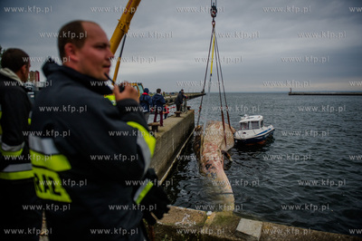 Port Wojenny na Helu. Akcja podnoszenia i transportu,...