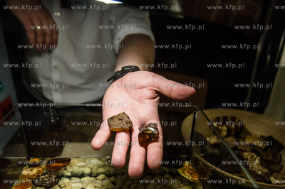 Gdansk. 10 lecie Muzeum Bursztynu i Swiatowej Rady...