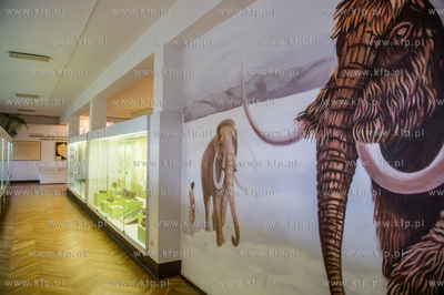 Muzeum Archeologiczne w Gdańsku. Konferencja prasowa...