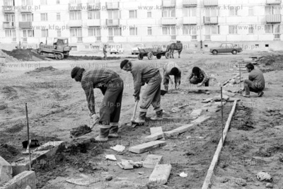 Pracownicy Przedsiębiorstwa Budowy i Konserwacji Terenów...