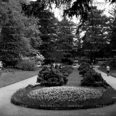 Park w Gdańsku Oliwie. 1968
0001712z
Fot. Zbigniew...