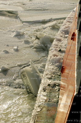 Szczecin. Wspolna akcja polskich ( Dzik, Lis, Zbik,...