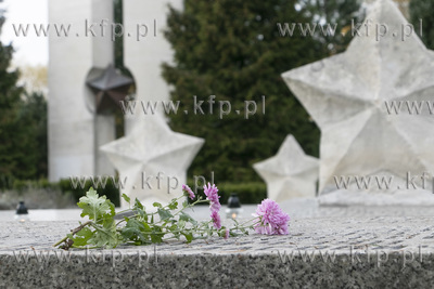 Cmentarz wojenny przy ulicy Zastawnej w Pruszczu Gdanskim....